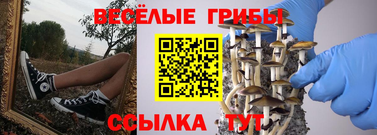 Псилоцибиновые грибы Psilocybine cubensis  Вход с VPN  Волжск 