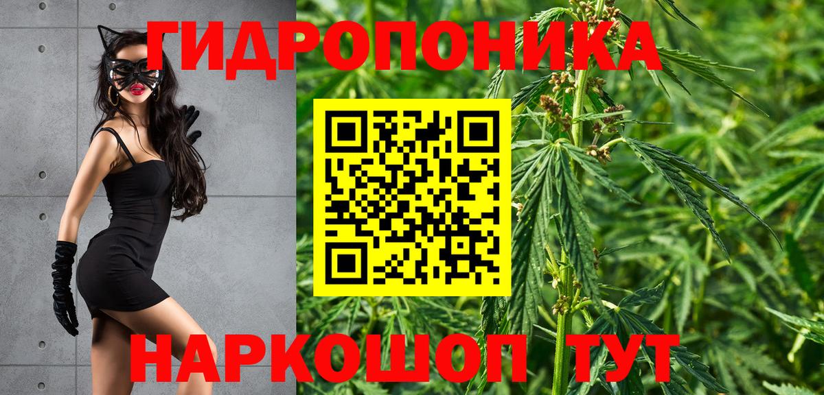 Шишки марихуана Amnesia Волжск