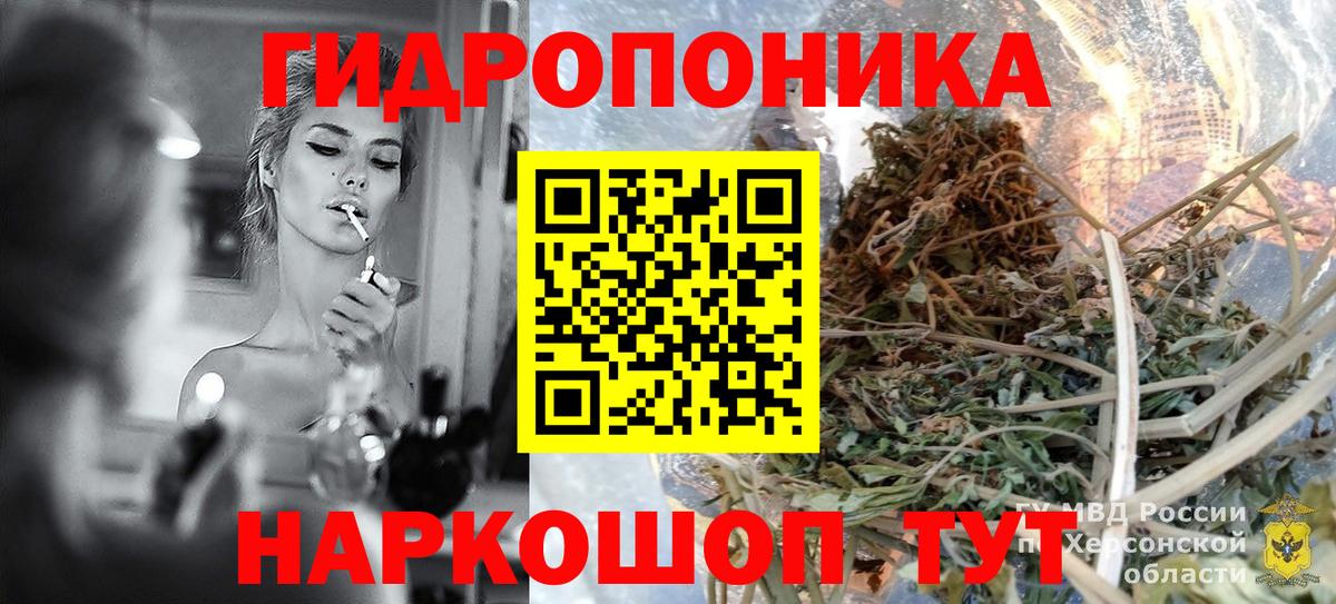 Бошки Шишки семена  Марихуана гибрид  Бошки Шишки OG Kush  Волжск  Бошки марихуана OG Kush  Вход с VPN 